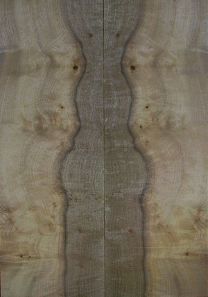 myrtlewood burl 14